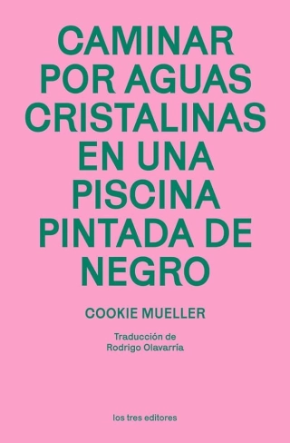 traducir('Imagen del producto ');9788412447965