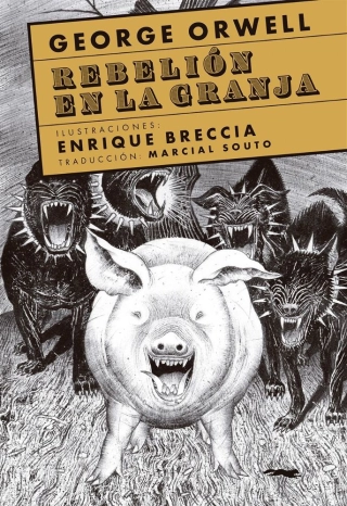 Imagen del producto 9788412674835