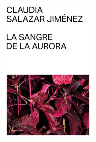 traducir('Imagen del producto ');9788412782745