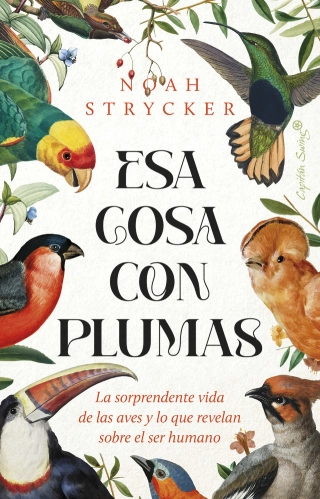traducir('Imagen del producto ');9788412953114