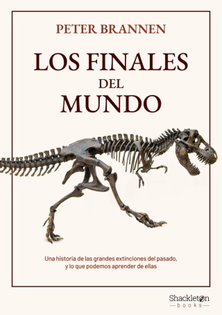 Imagen del producto 9788413611853
