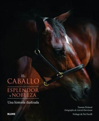 Imagen del producto 9788415317074