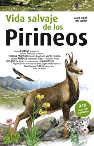 Imagen del producto 9788415885542