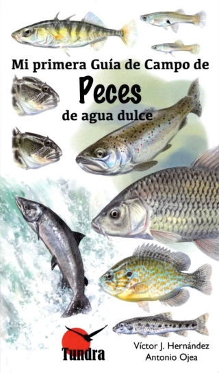 Imagen del producto 9788416702480