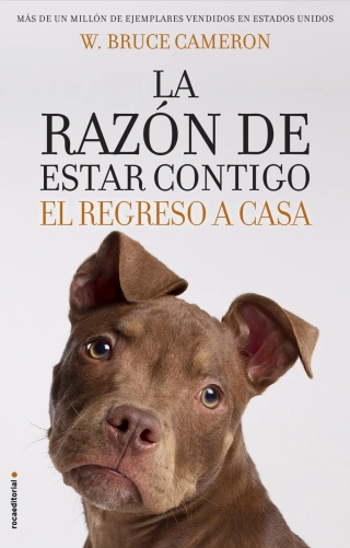 Imagen del producto 9788417092887