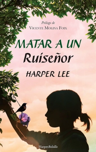 traducir('Imagen del producto ');9788417216948