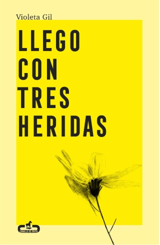 traducir('Imagen del producto ');9788417417543