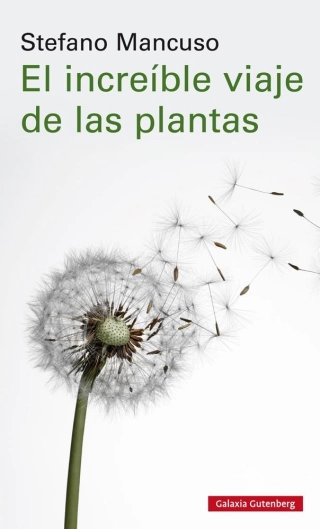 Imagen del producto 9788417747312