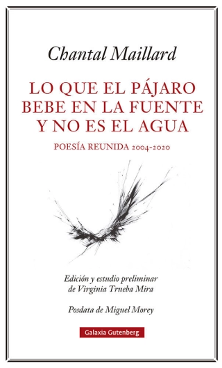 Imagen del producto 9788418807633