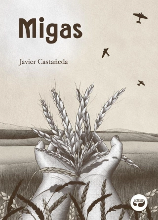 traducir('Imagen del producto ');9788419550125
