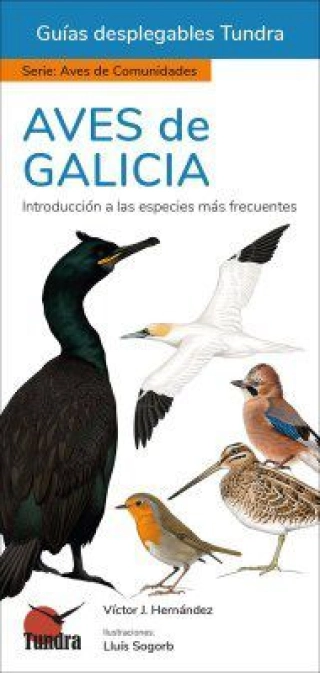 Imagen del producto 9788419624437