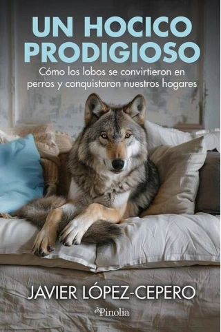 Imagen del producto 9788419878854