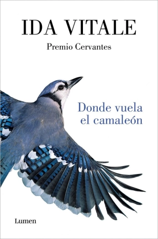 traducir('Imagen del producto ');9788426416926
