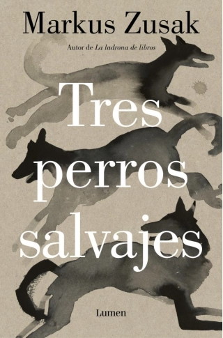 traducir('Imagen del producto ');9788426431738