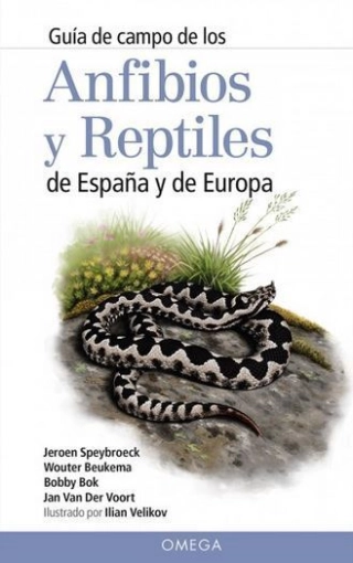 Imagen del producto 9788428216647