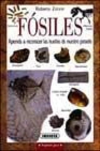 Imagen del producto 9788430533527