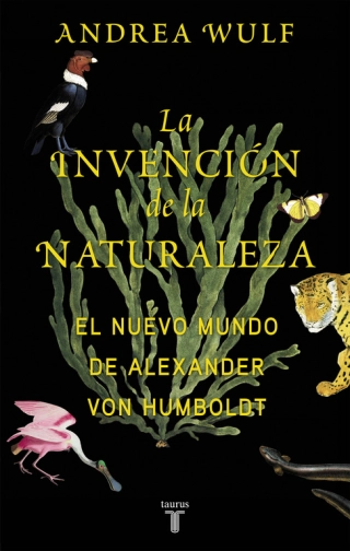 Imagen del producto 9788430618996
