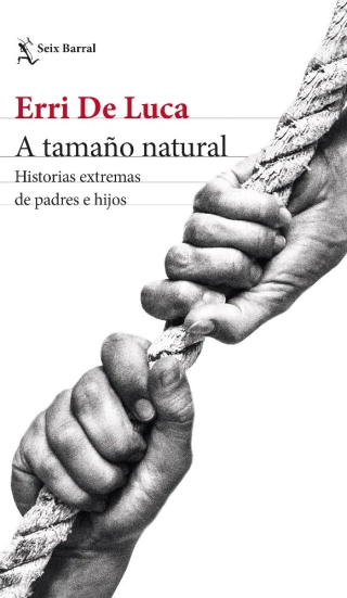 Imagen del producto 9788432241192