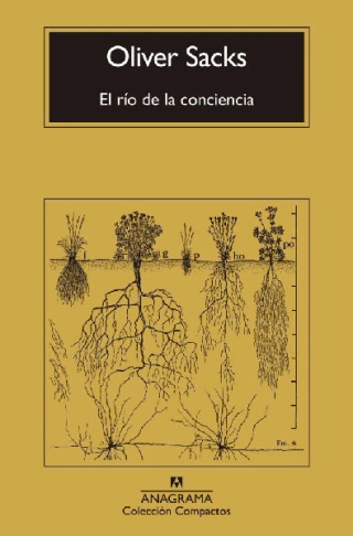 Imagen del producto 9788433946867