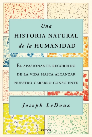 Imagen del producto 9788449338274