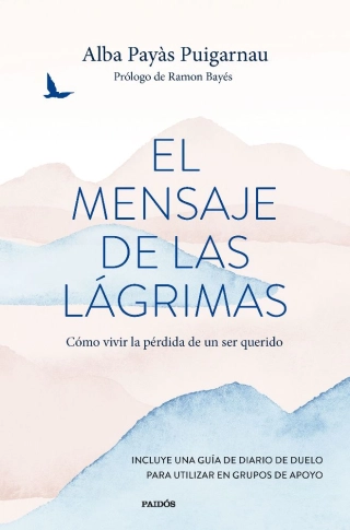 Imagen del producto 9788449341571