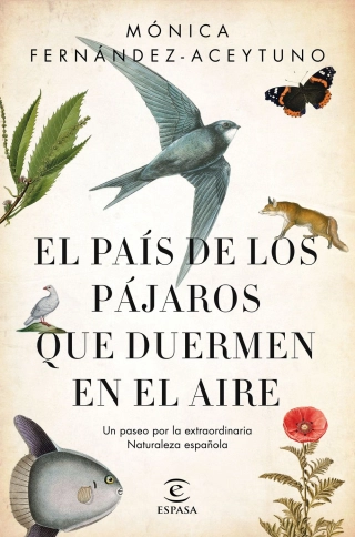 traducir('Imagen del producto ');9788467051469