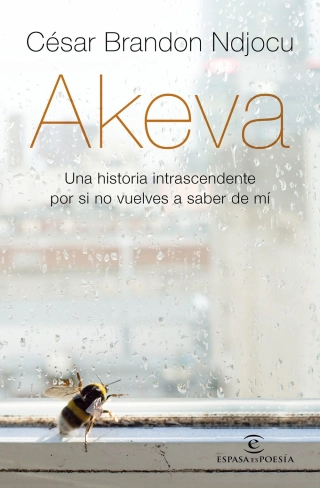 Imagen del producto 9788467057416
