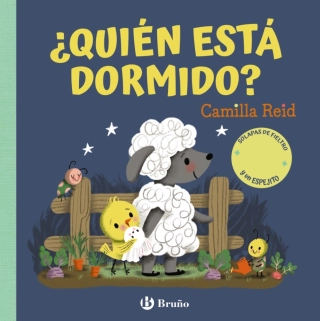 traducir('Imagen del producto ');9788469643273