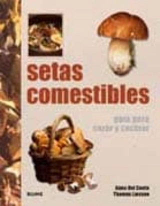Imagen del producto 9788480768412