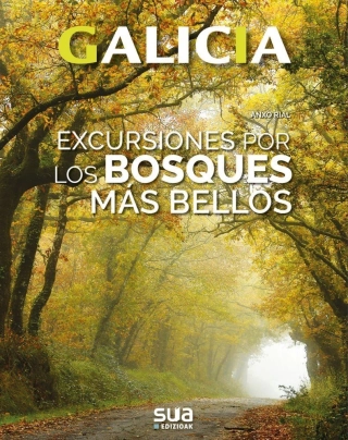 Imagen del producto 9788482166780