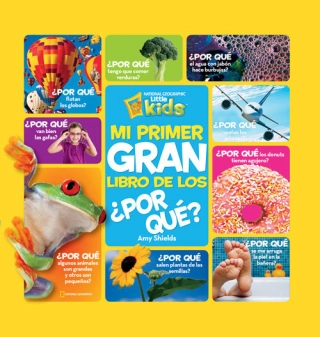 traducir('Imagen del producto ');9788482985688