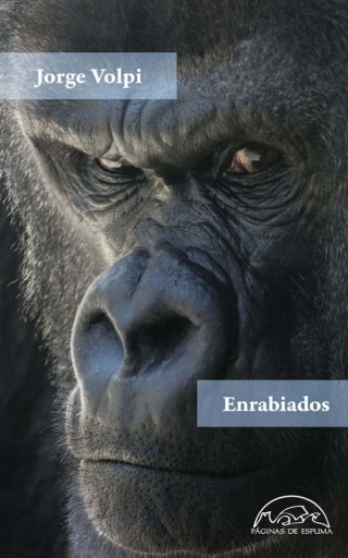 traducir('Imagen del producto ');9788483933312