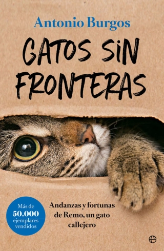 Imagen del producto 9788491644248