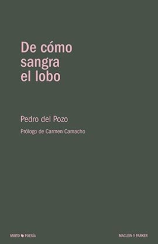 Imagen del producto 9788494826146