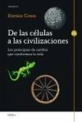 Imagen del producto 9788498924954