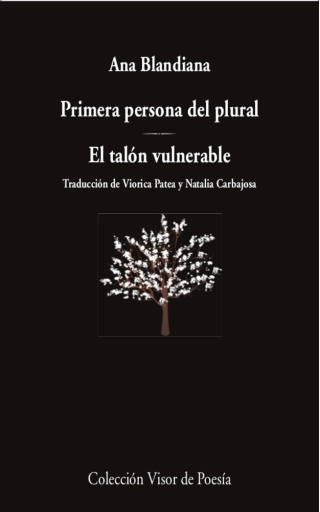 Imagen del producto 9788498954418