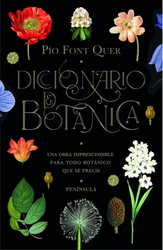 Imagen del producto 9788499429076