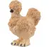 GALLINA SILKIE