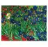 DIAMOND DOTZ IRISES VAN GOGH