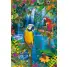 PUZZLE 500 PIEZAS PARASO TROPICAL