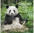 CALENDARIO DE PARED PANDA 2023